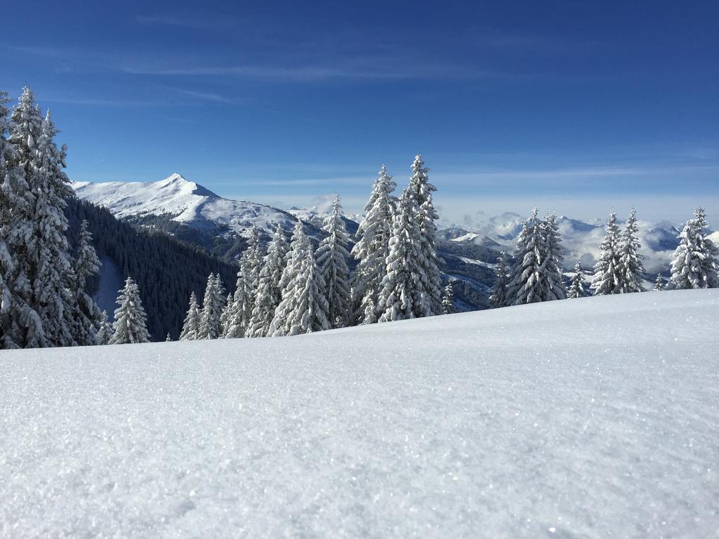 Das Juwel Reith Reith im Alpbachtal Zewnętrze zdjęcie